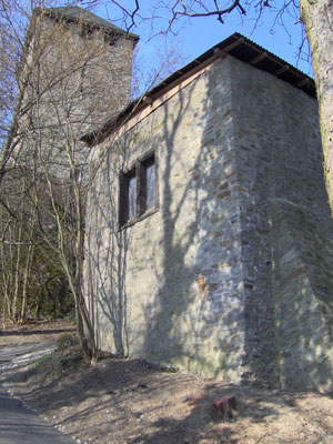 Der Palas mit Pächterhaus