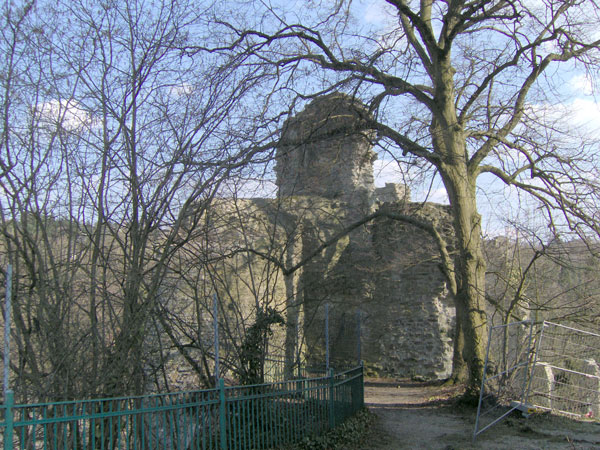 Burg Sonnenberg Bruderturm