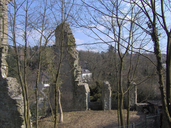 Burg Sonnenberg Palas